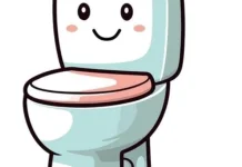 Toilet Jongkok Lebih Sehat Dibanding Toilet Duduk