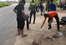 Kecelakaan Tunggal di Tikungan Bintuni, Pengendara Tewas