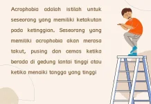 Takut Ketinggian Bisa Ganggu Kehidupan