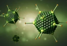Virus yang bisa Menyerang Anak dan Dewasa