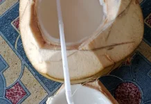 Manfaat Minum Air Kelapa Muda