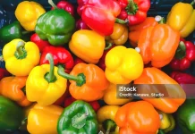 Paprika termasuk buah atau sayur ? Ini Penjelasannya