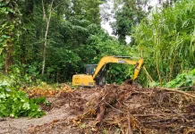 Pembukaan Lahan Kakao TMMD Kodim 1801/Manokwari Ditargetkan Rampung Tepat Waktu