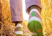 Cara Menghilangkan Bau Kaki di Sepatu dengan Mudah dan Efektif.