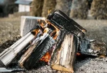 Sumber Energi Tradisional yang di gunakan sejak zaman dahulu