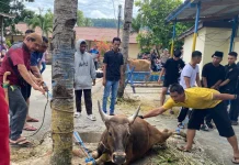 Polresta Manokwari Salurkan Daging Kurban kepada Masyarakat pada Iduladha 1447 H