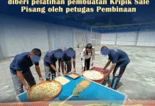 LPKA Manokwari Bekali Anak Binaan Keterampilan Membuat Keripik Sale Pisang