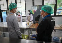 Kunjungan Wapres Buka Peluang Besar Pengembangan Kakao di Manokwari Selatan