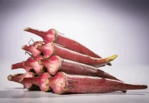 Manfaat Okra Merah bagi Kesehatan