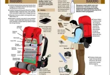 Manajemen packing carrier kunci perjalanan aman dan nyaman