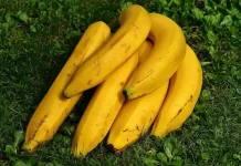 Pisang ternyata Menyimpan Segudang Manfaat untuk Kesehatan Tubuh Anda