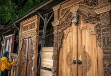 Keunggulan Pohon Jati yang Membuat Nilainya Terus Melambung