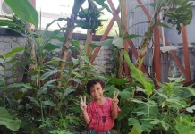 Pemanfaatan Pekarangan Rumah Dukung Program Astacita