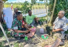 Gandeng Kepala BPP Terjun Kelahan Pertanian Babinsa Sambangi Petani