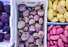 Ubi, Ube, dan Taro: Sama-sama Umbi, tapi Kenapa Rasanya Berbeda?