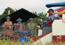Pangdam XVIII/Kasuari Pimpin Panen Raya TNI Dukung Ketahanan Pangan Nasional