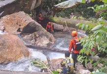 Pencarian Yanto Idorway di Pegunungan Arfak Belum Membuahkan Hasil