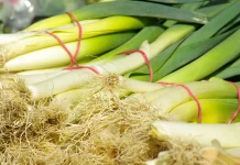 Beberapa Manfaat Daun Bawang untuk Kesehatan