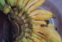 Tujuh Fakta Unik Pisang yang Jarang Diketahui Banyak Orang