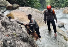 Medan Ekstrem Hambat Pencarian Korban Hanyut di Air Terjun Memti