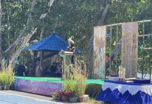 Sinergi Masyarakat dan Mahasiswa Warnai Pelaksanaan Manokwari Menari 2026
