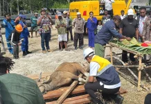 Prosesi Kurban Adat Tandai Ground Breaking Pelabuhan Teluk Bintuni