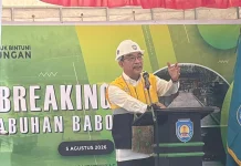 Bupati Minta BP Tangguh Pindahkan Jety Babo, Buka Ruang Ekonomi Warga