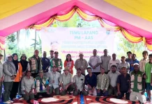 Teknologi Modern Bawa Panen Padi Prafi Tembus 10 Ton