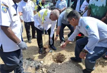 Dominggus Ajak Warga Tanam Pohon Produktif guna Tingkatkan Pendapatan Keluarga