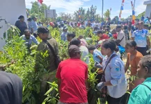 Warga Susweni Terima Bantuan Bibit Pohon dari Pemprov Papua Barat