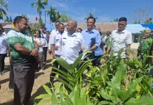 Gubernur Papua Barat Dorong Warga Tanam Gaharu untuk Sumber Penghasilan