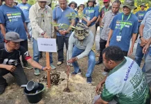 Gubernur Papua Barat Canangkan Gerakan Satu Juta Pohon Matoa