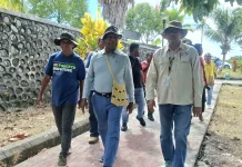 BRIDA Papua Barat Dorong Penanaman Matoa untuk Selamatkan Hutan Tropis