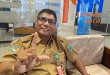 Stok Bibit Kehutanan Papua Barat Masih Mencukupi untuk Rehabilitasi