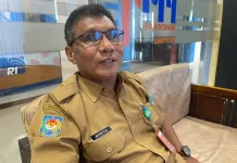 Merbau hingga Masohi Jadi Prioritas Pembenihan Tanaman Hutan