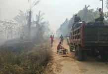 Kebakaran Lahan Sawit di Sumuri Mulai Terkendali, Aparat dan Warga Tetap Siaga