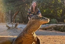 Michelle Monaghan Kembali ke Indonesia Demi Lihat Komodo