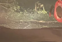 Waspada Melewati Wilayah Gunung Botak Manokwari!