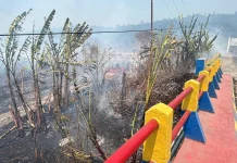 Titik Api Muncul Kembali di Jembatan Kali Mati Distrik Ransiki