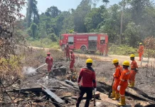 Polres dan LNG Tangguh Kerahkan 75 Personel Padamkan Karhutla