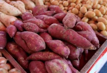Apakah Makanan Kukusan Aman Dikonsumsi ?