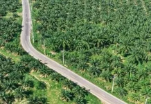 Hilirisasi Jadi Kunci Ekonomi Daerah Lebih Maju