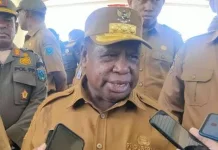 Kebakaran Hutan di Bomberai Kembali Terjadi, Sekda Papua Barat Minta Pengendalian