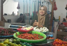 Harga Cabai di Pasar Manokwari Tembus Rp100 Ribu per Kilogram