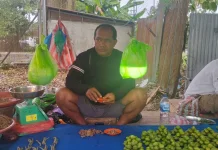 Harga Buah Siri di Manokwari Tembus Rp600 Ribu per Kilogram