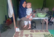 Kemarau Picu Kelangkaan Sirih dan porsi Pinang di Teluk Bintuni