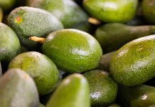 Manfaat Konsumsi Buah atau Jus Alpukat
