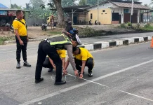 Satlantas Teluk Bintuni Olah TKP Dua Kecelakaan, Pelaku Diamankan