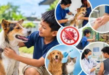 Kenali Gejala Rabies dan Cara Mencegahnya