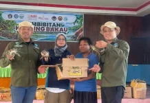 Pelepasan 250 Kilogram Kepiting Warnai Pelestarian Mangrove Wamesa